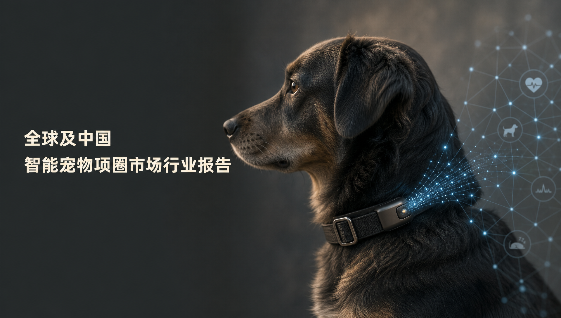 全球及中国智能宠物项圈市场行业报告